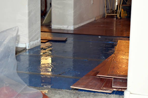 Professional Sewage Cleanup technician working in Marlette, MI