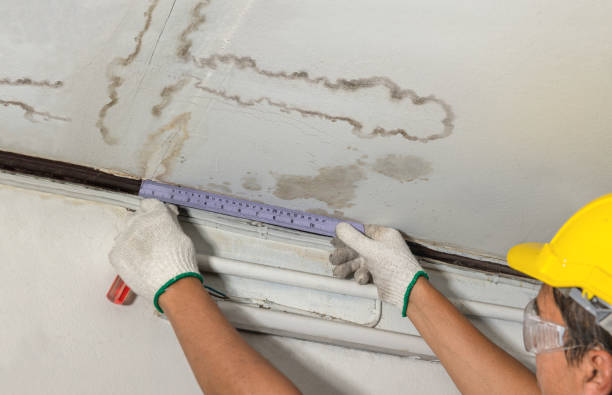 Reliable Sewage Cleanup contractor in Marlette, MI by Water Damage Irwin
